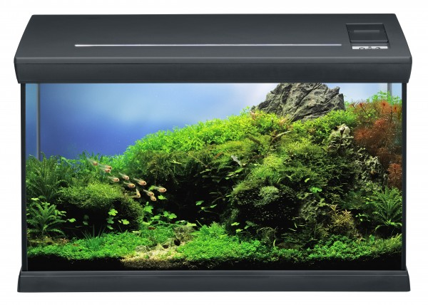Eheim Aquaclass 66