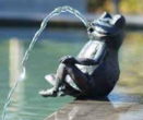 Spuitfiguur Kikker groot