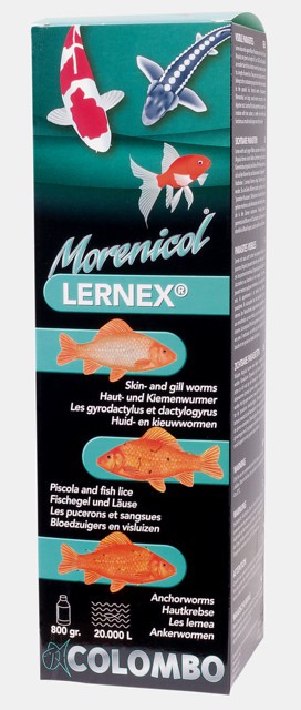 Colombo Lernex 800 gram