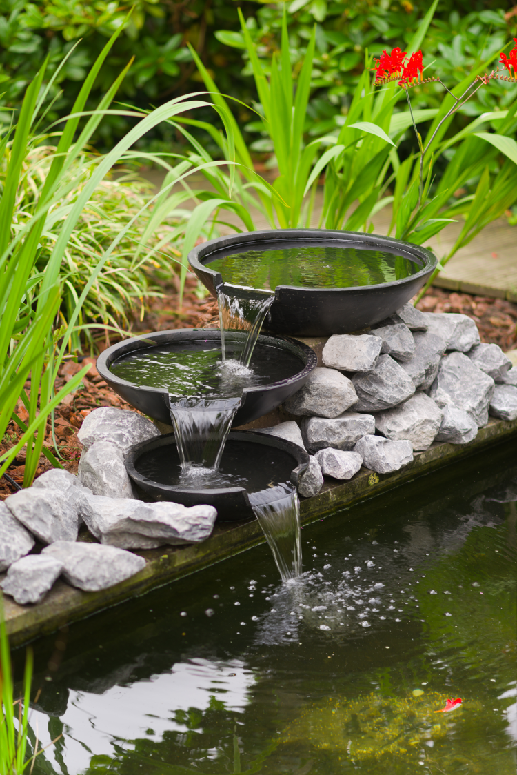 Acqua Arte Nova Scotia II