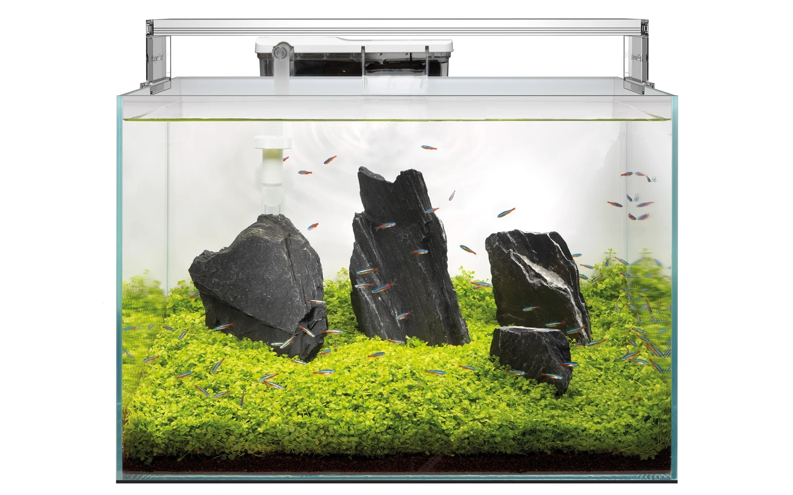 Superfish Scaper 90