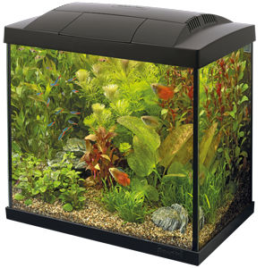 Superfish Start 50 Tropical kit zwart