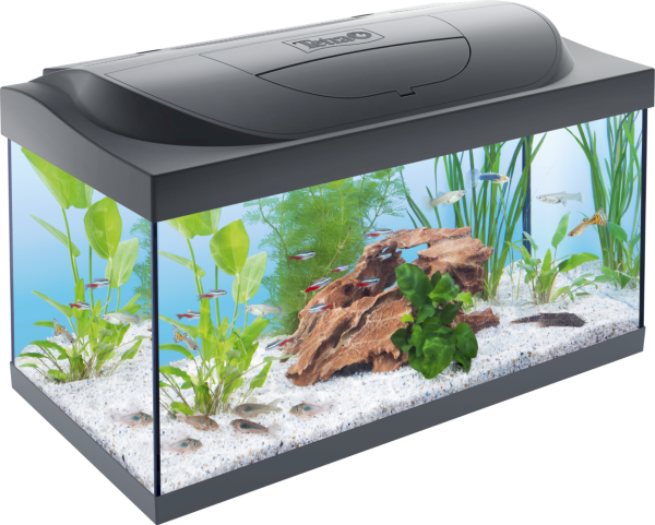 Tetra Starterline 54 liter