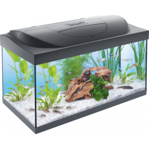 Tetra Starterline 54 liter