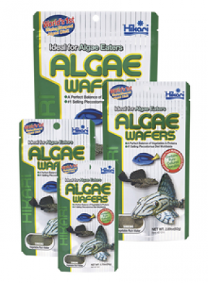 Hikari Algae Wafers,  250 gram