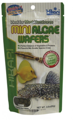 Hikari Mini Algae Wafers, 85 gram