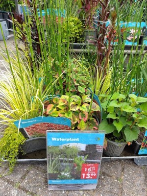 vijvermand ovaal met 3 planten