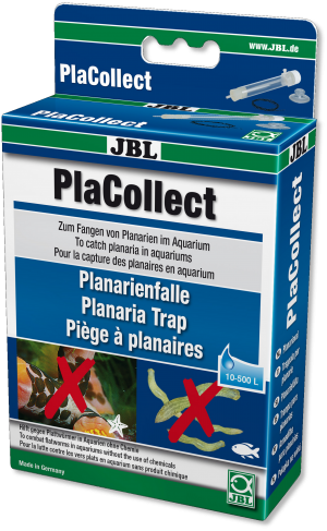 JBL Placollect