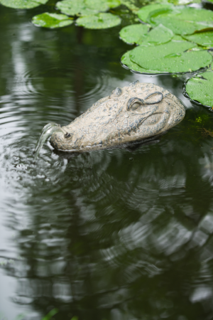 Fauna Fountain  Krokodil