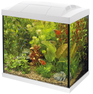 Superfish Start 30 Tropical kit wit